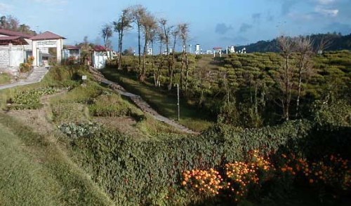 लुम्ले         (स्रोत:canr.msu.edu)